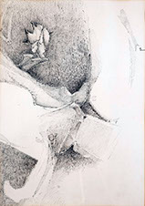 Pen Painting by Vermont Artist Peter Heller 