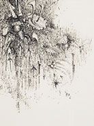 Pen Painting by Vermont Artist Peter Heller